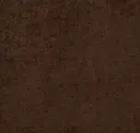 Cocoa