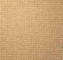Maize