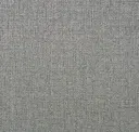 Silverwisp