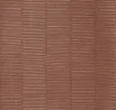 Mesquite