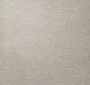 Bone