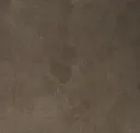 Cocoa