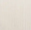 Bone