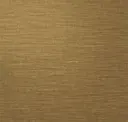 Bengal Bronze