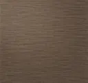 Iron Pillar