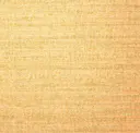 Cornsilk