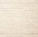 Papyrus