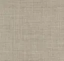 Tokyo Taupe
