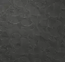 Iberis