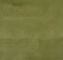 Asparagus