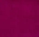 Berry