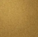 Copper Penny