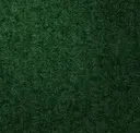 Hunter Green