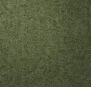 Mossy Hill