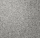 Silver Dollar