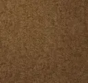 Sorrel Brown