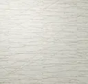 Oyster Shell