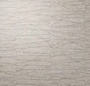 Dome Silver
