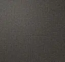 Shadow
