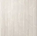 Bone