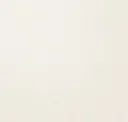 Blank Canvas
