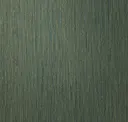 Color Of Money