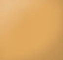 Gilded Amber