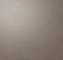 Rivet