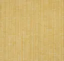 Solea