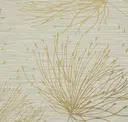 Oat Grass