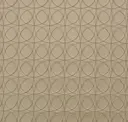 Circle