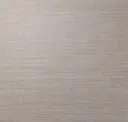 Pale Silver