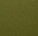 Cheer