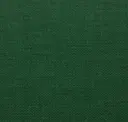 Leprechaun