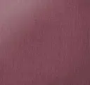 Purple Orchid
