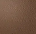 Palomino