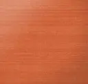 Orange Burst