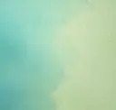 Vivid Cloud