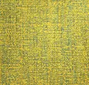 Yellow Finch