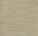 Eucalyptus