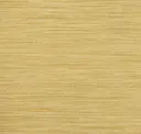 Sugarcane