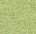 Lime Fizz