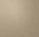 Platinum Bullion