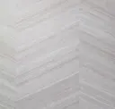 Michelangelo