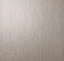 Morning Dove