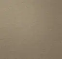 Topaz Tan