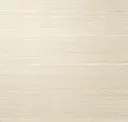 Oliva