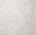Dove