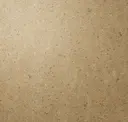 Putty