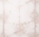 Champagne